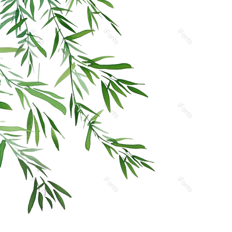 叶子图片,插图元素,装饰PNG,插画免抠素材